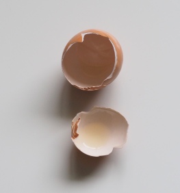 brown-egg-shell-on-white-surface-929774.jpg
